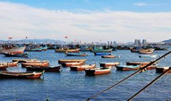 利比里亞漁業(yè)合作項目 Liberia Fisheries Cooperation Project